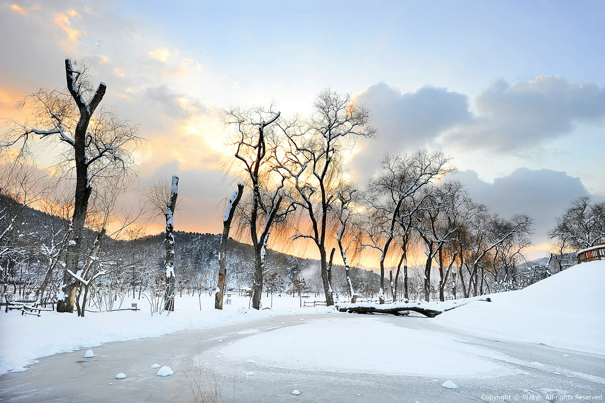 南怡島雪景，冬季的河流和樹木在夕陽下呈現出夢幻的韓國冬日美景。