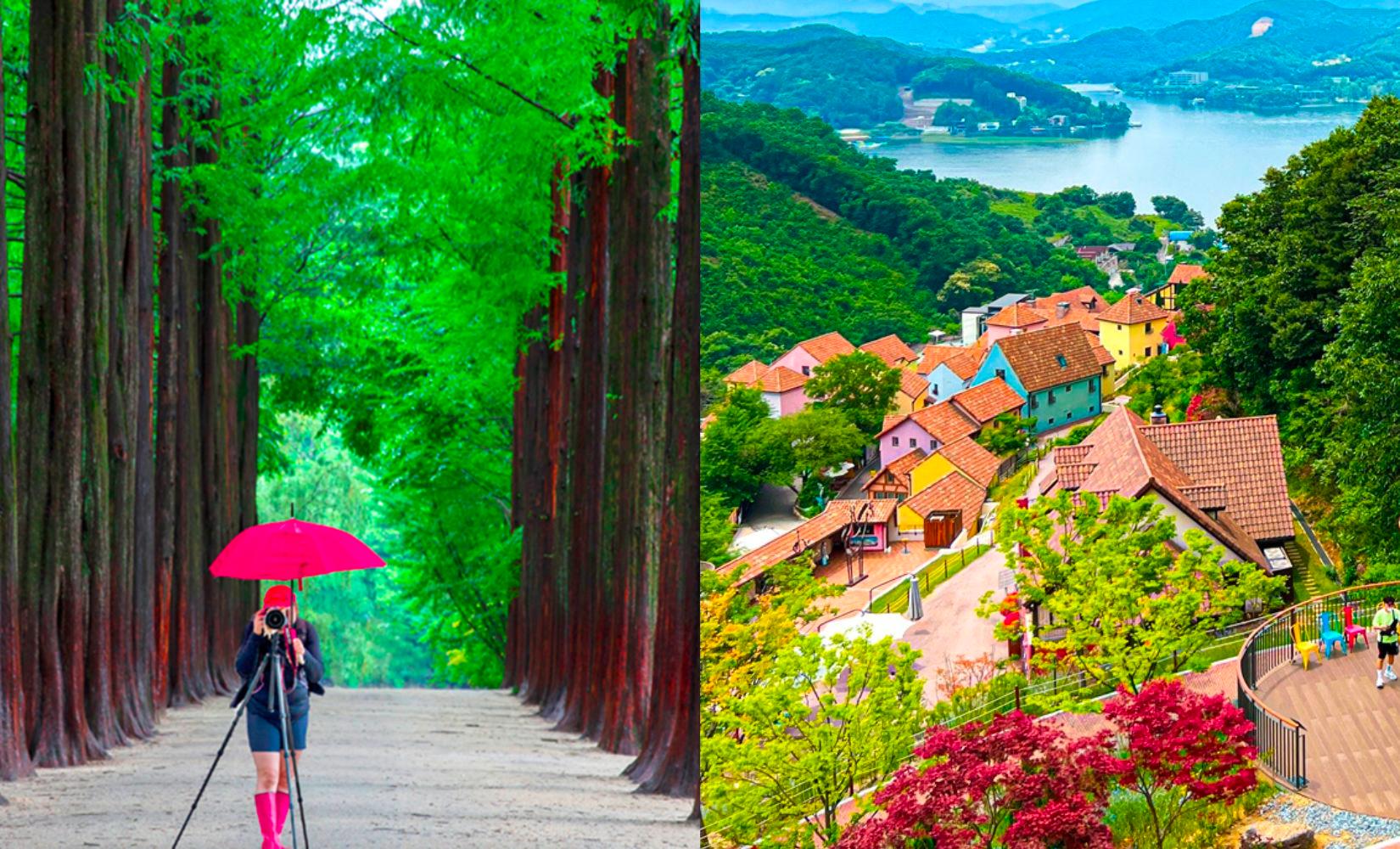 代訂 | 南怡島+小法國村+意大利村+晨靜樹木園一日遊