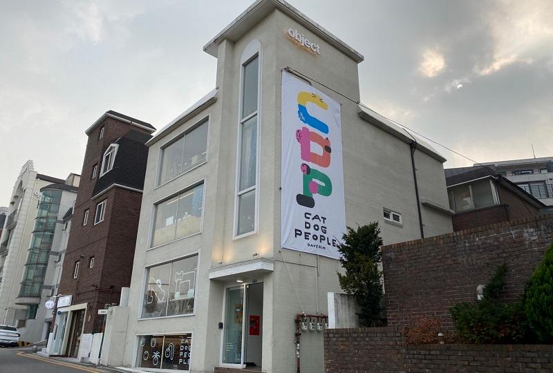 韓国、韓国旅行、韓国観光、ソウル旅行、弘大、ホンデ、ショッピング、韓国コスメ、オリーブヤング、若者、ホットスポット、韓国ファッション、韓国雑貨、小物、韓国アクセサリー