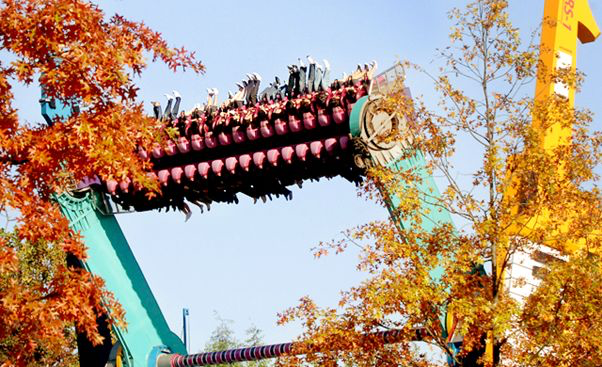 Tour Everland 1 ngày | Tận hưởng công viên giải trí lớn nhất Hàn Quốc