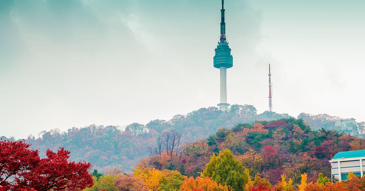 Biglietto d'ingresso all'Osservatorio della Torre di Seul | Prenota i biglietti per la Torre di Seul