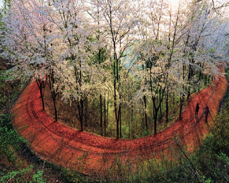 Gyejoksan Red Clay Trail