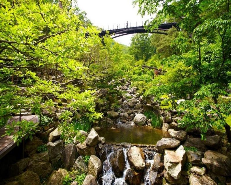 Hwadam Botanic Garden
