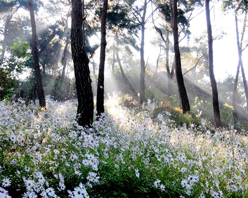 Okjeongho Gujeolcho Theme Park