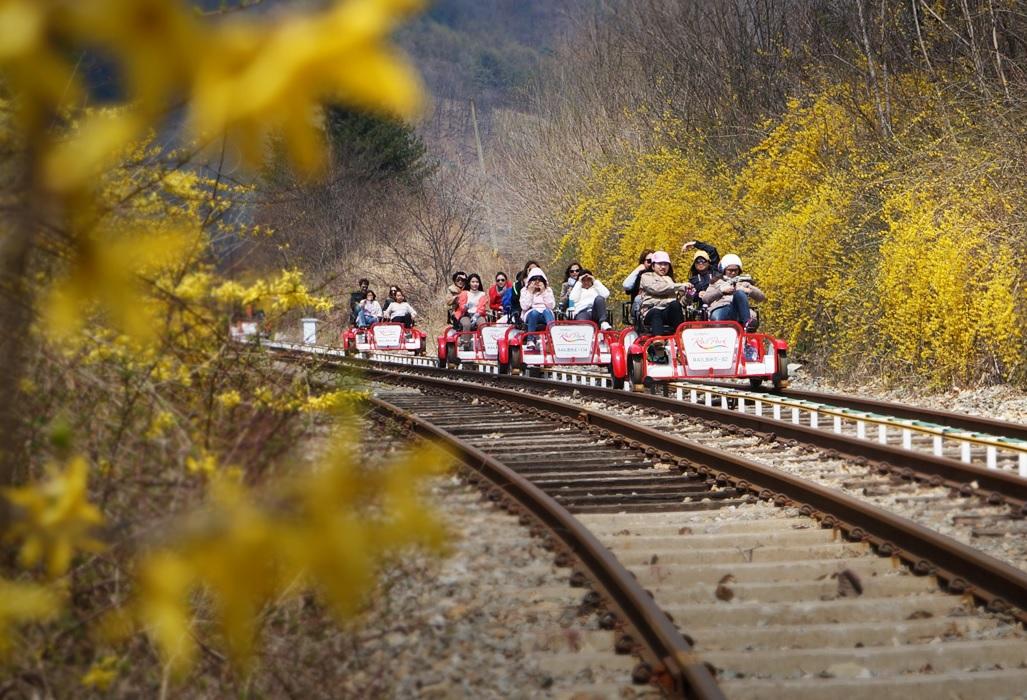 One Day Tour to Nami Island & Garden of Morning Calm & Gangchon Rail Bike