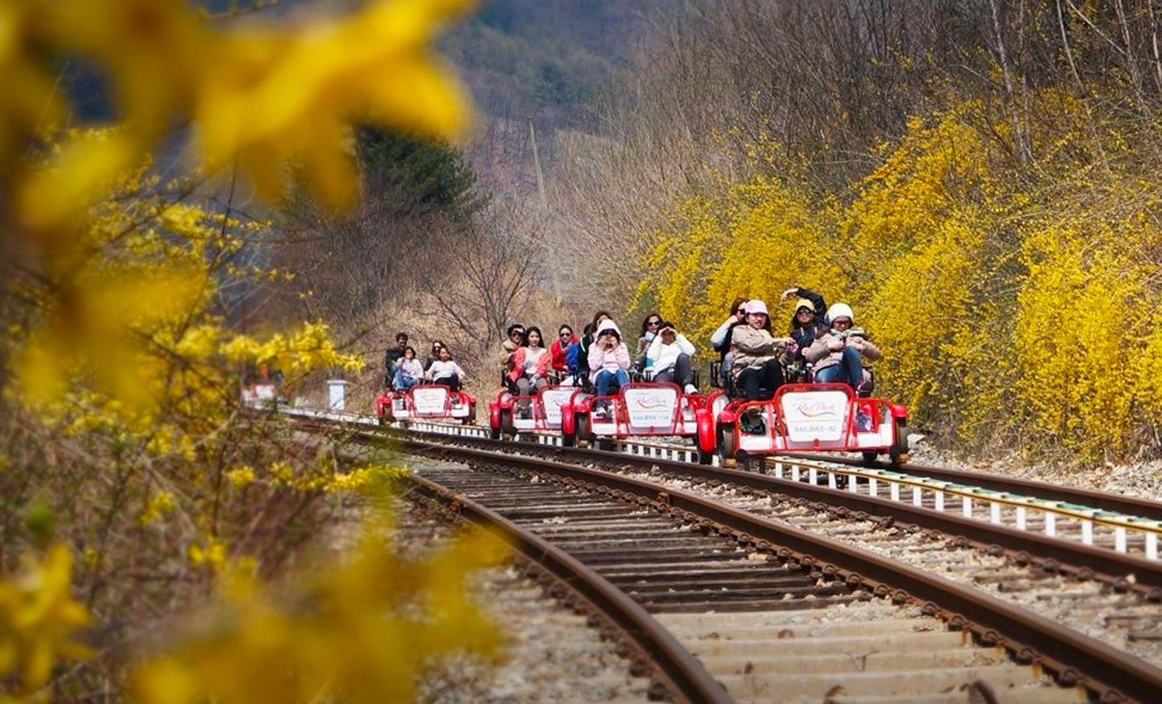 代訂｜南怡島 + 江村鐵路單車 + 晨靜樹木園一日遊