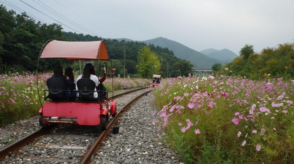 Gangchon Rail Park - What To Know BEFORE You Go