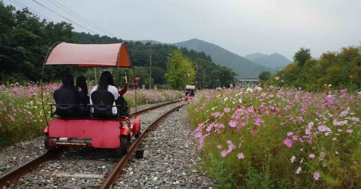 Creatrip 1日旅行 南怡島 プチフランス レールバイク