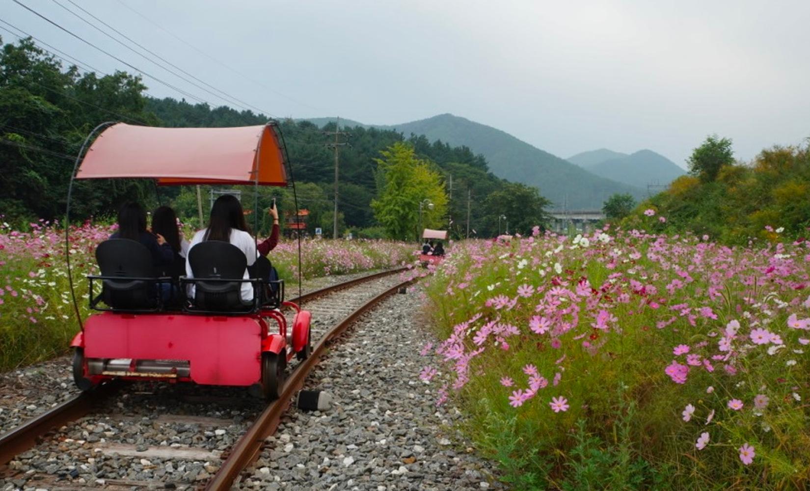 代訂 | 南怡島 + 江村鐵路單車 + 小法國村 + 意大利村一日遊