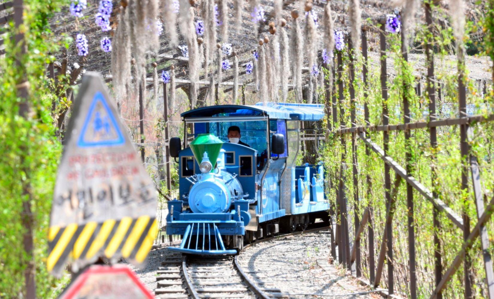 Tour 1 ngày đi đảo Nami, Petite France, Làng Ý, Xe đạp đường sắt Gangchon giá ưu đãi