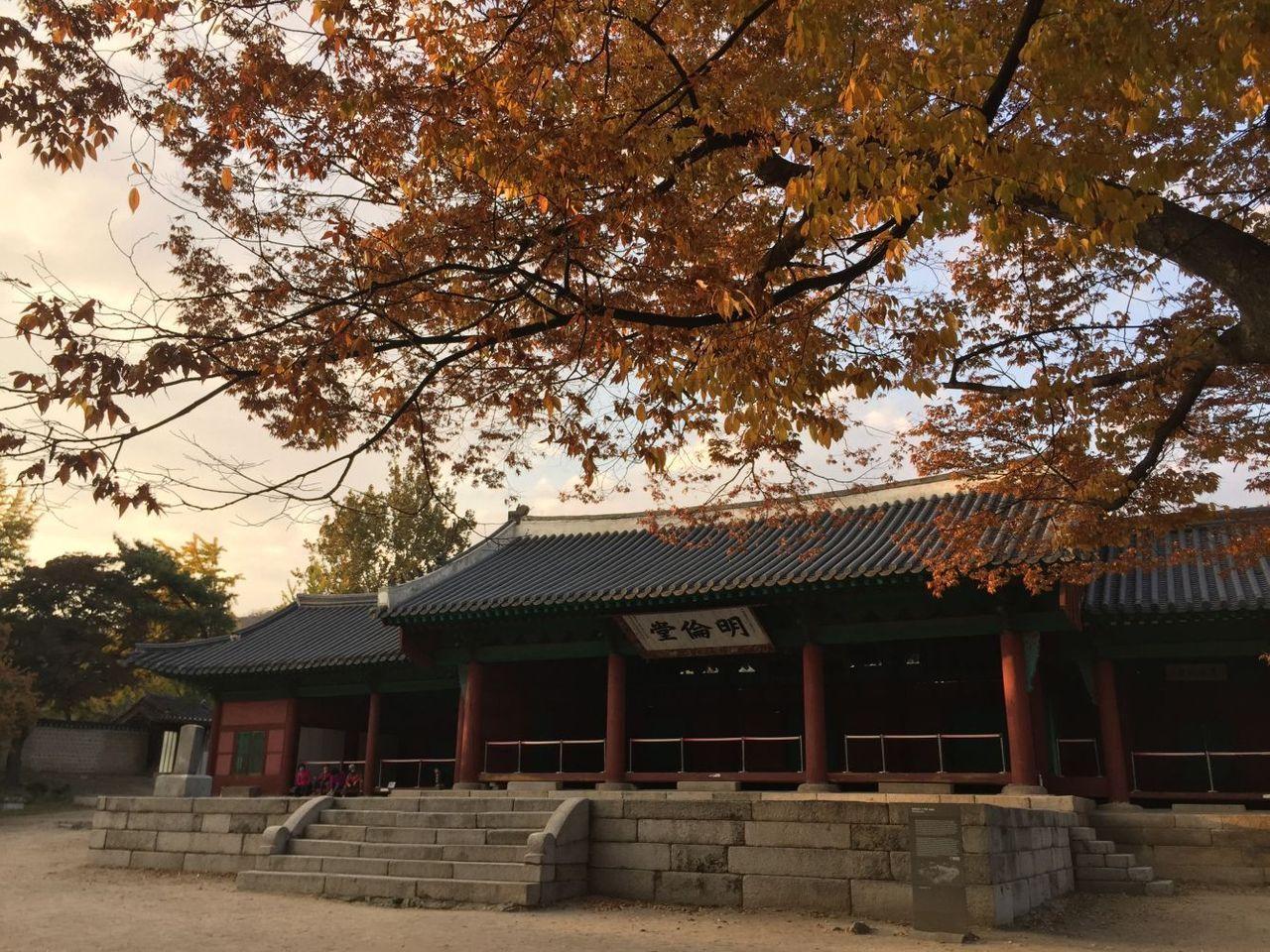 成均馆大学校内景观，古风建筑与现代环境融合。