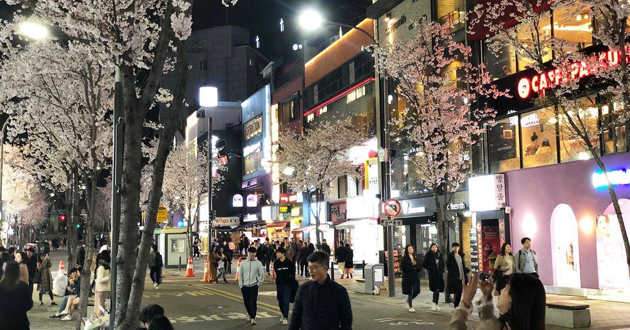 新村夜間街景，櫻花點綴下的穿動人群景象。