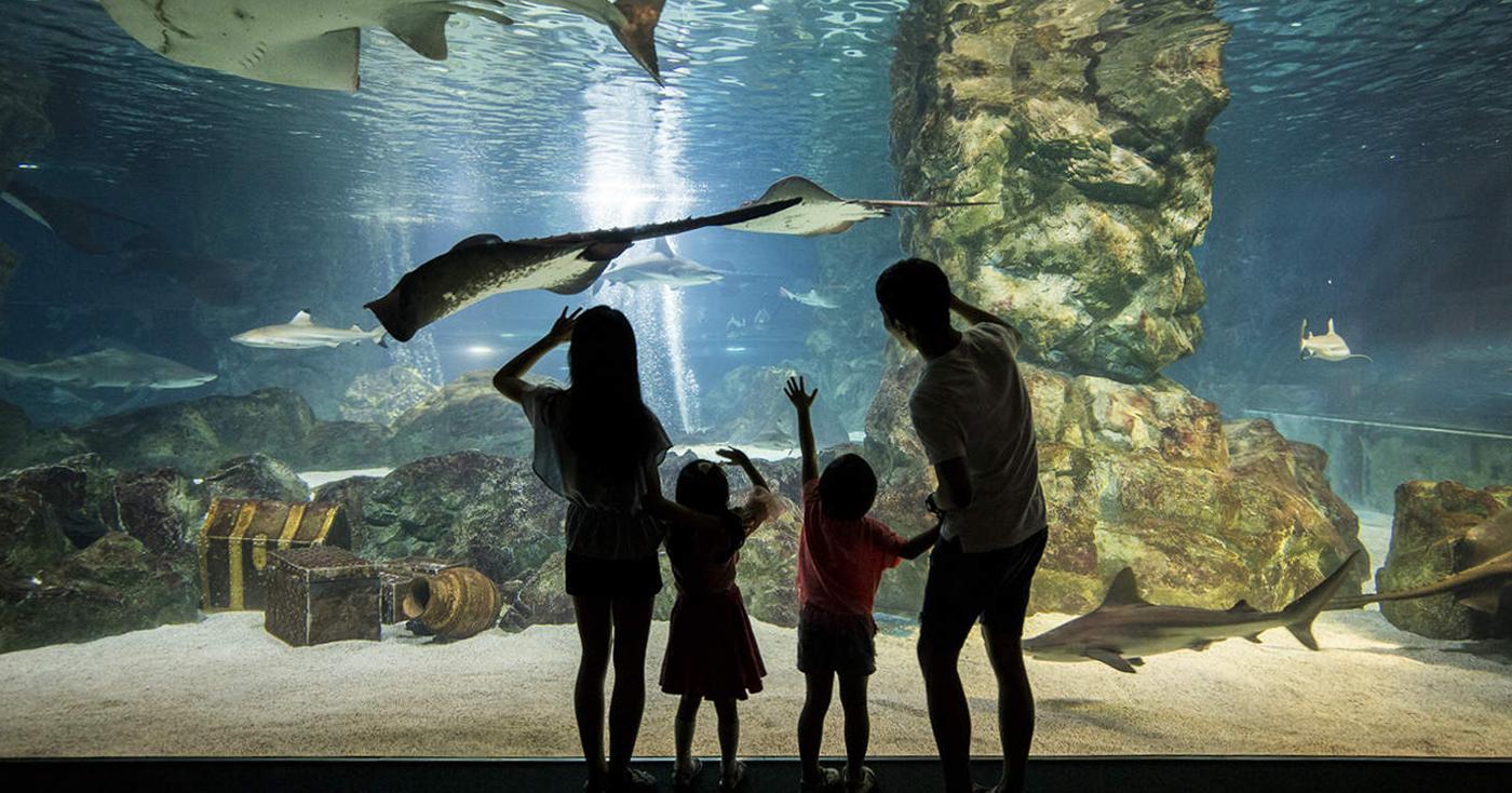 จัมชิล | โคเอ็กซ์อควาเรี่ยม อัพเดท 2023