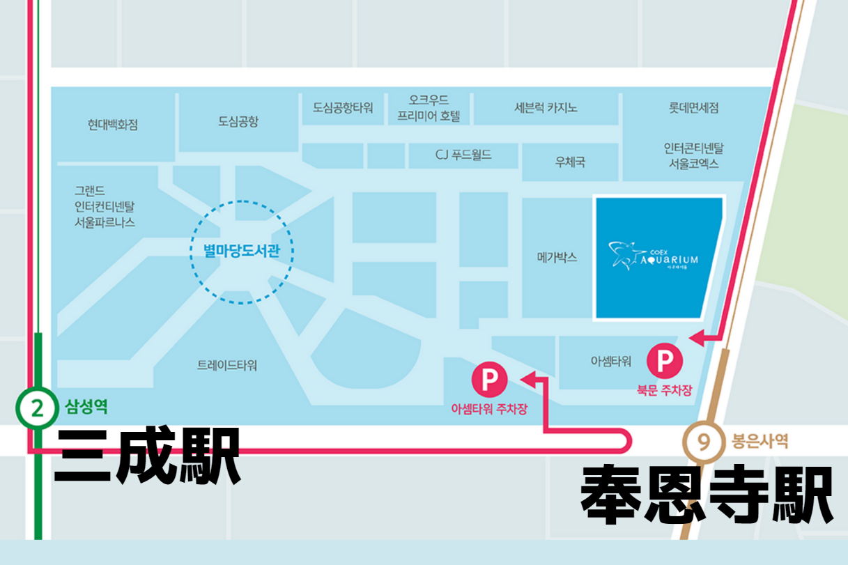 韓国水族館、韓国アクアリウム、韓国、COEXアクアリウム、COEX、アクアリウム、水族館、韓国サムソン、韓国ボウンサ、奉恩寺、三成、亀、SUPERJUNIOR、イェソン、カメ、江南韓国、ショッピングモール、韓国ショッピングモール、韓国ショッピング、韓国都心空港、韓国三成、韓国奉恩寺、ポウンサ、サムソン、ソウル、韓国カフェ、韓国モール、韓国水族館、韓国映画館、韓国両替、韓国タックスリファウンド、ピョルマダン図書館