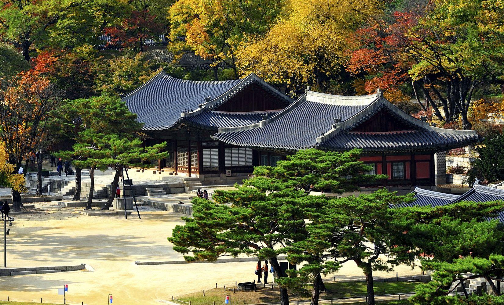 Cung điện Changgyeonggung: Hướng dẫn du lịch mới nhất và chi tiết nhất! 