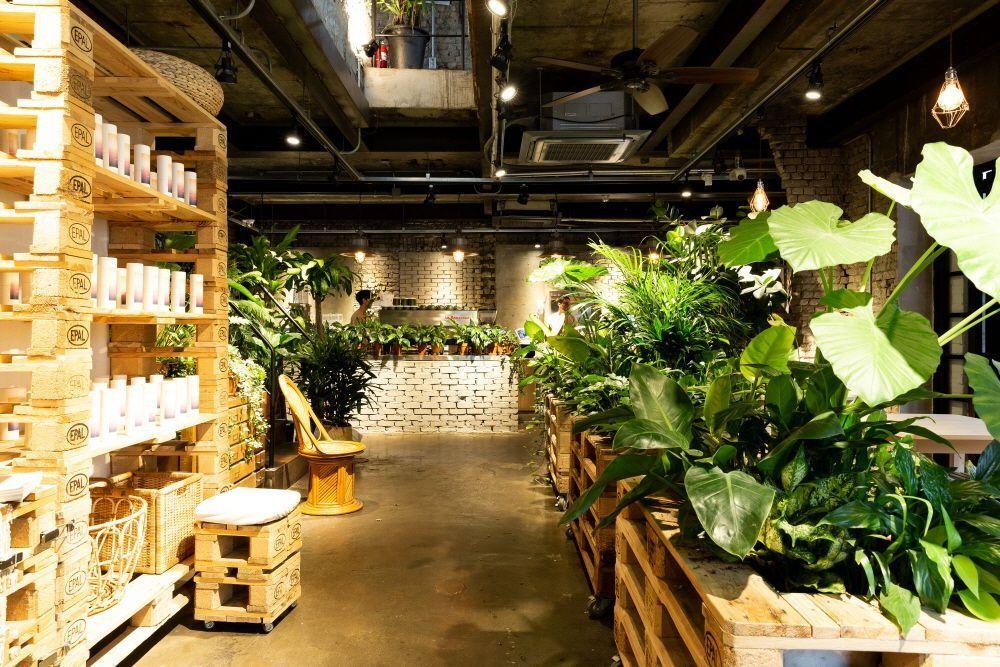 /181106/kitchen-cabinet-lighting/cabinet-lighting/cabinet-lighting.asp