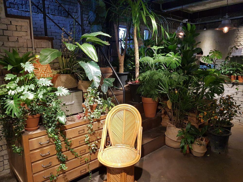 /181106/kitchen-cabinet-lighting/cabinet-lighting/cabinet-lighting.asp