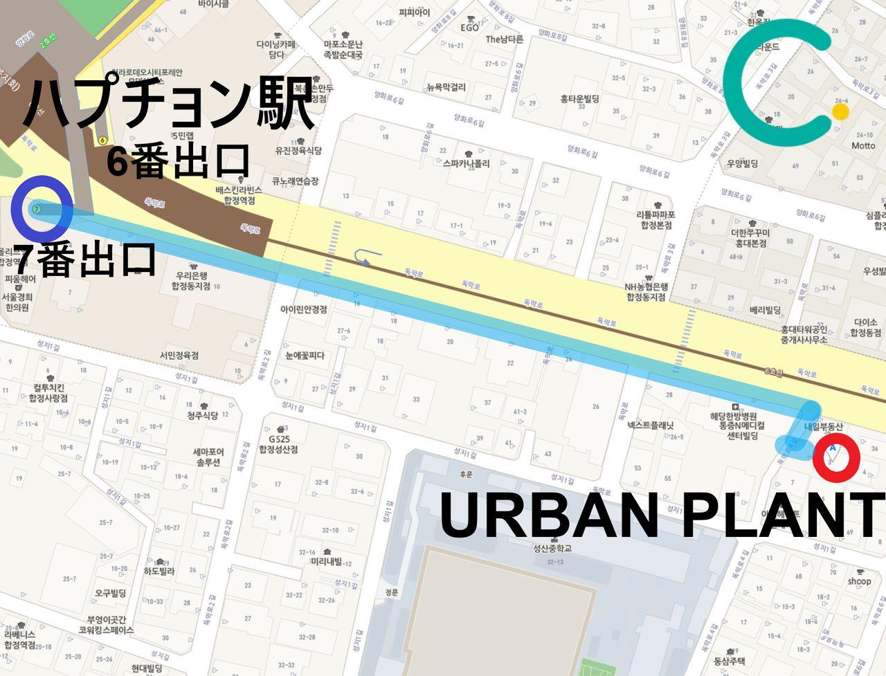 ホンデカフェ、韓国カフェ、ハプチョンカフェ、ブランチカフェ、ブランチ、韓国ブランチ、カフェ、オムレツ、お花カフェ、韓国お花カフェ