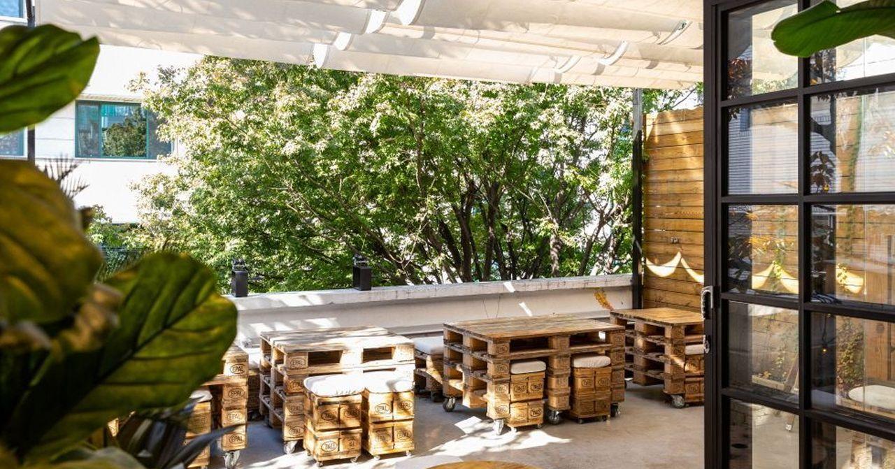 弘大早午餐｜Urban Plant