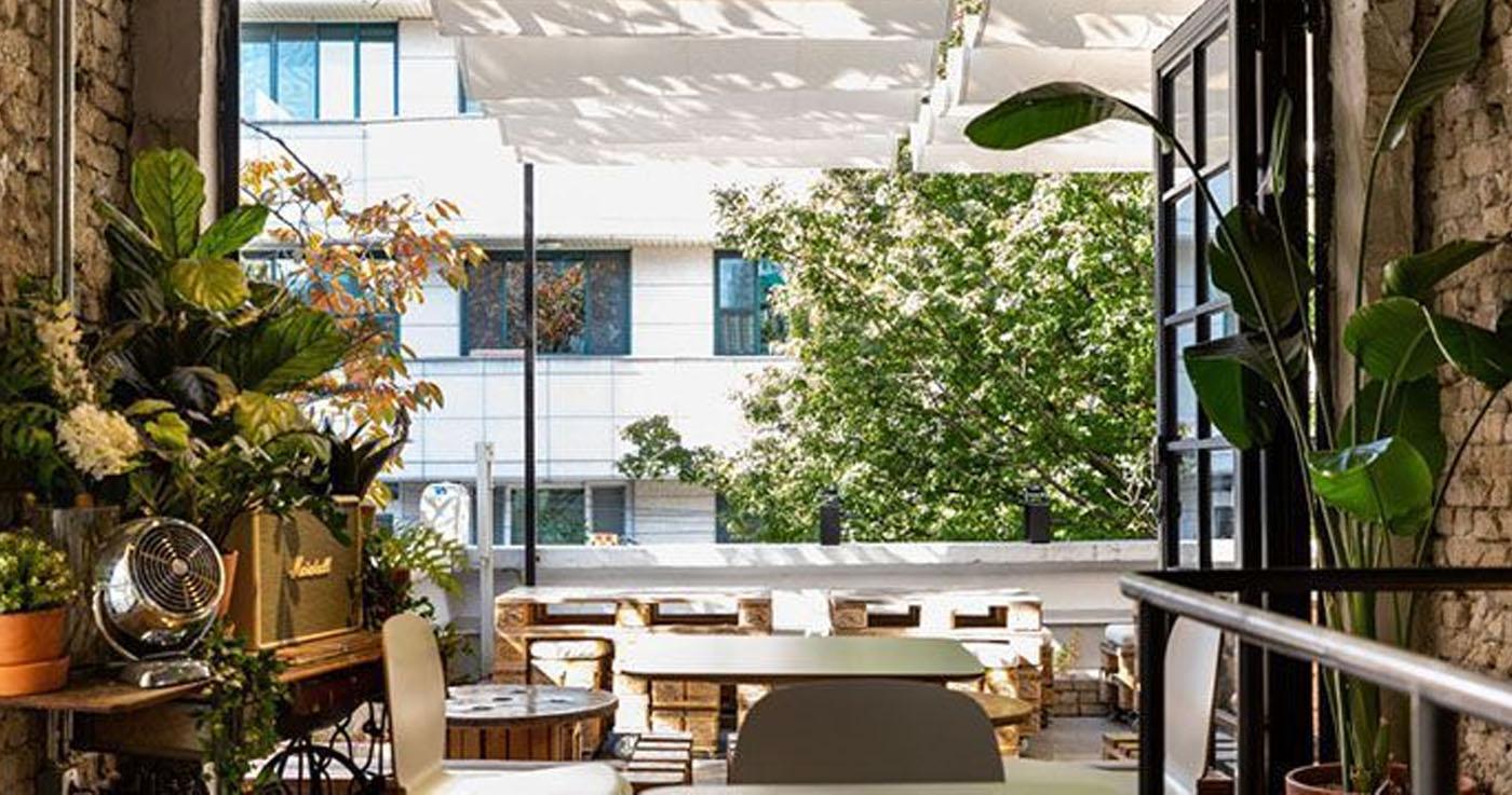 ร้านอาหาร Brunch ย่านฮงแด-ฮับจอง｜Urban Plant