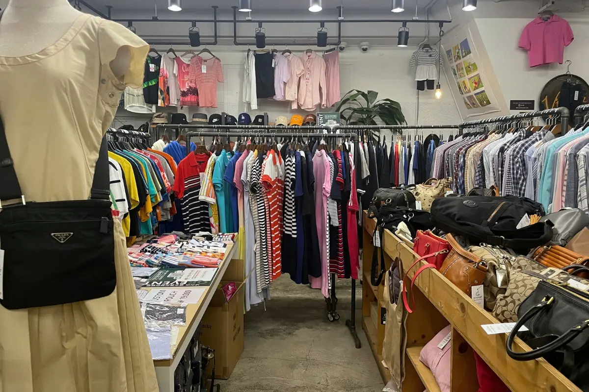 2025 新沙洞 購物 推薦 新沙洞逛街地圖 購物品牌推薦 首爾新沙