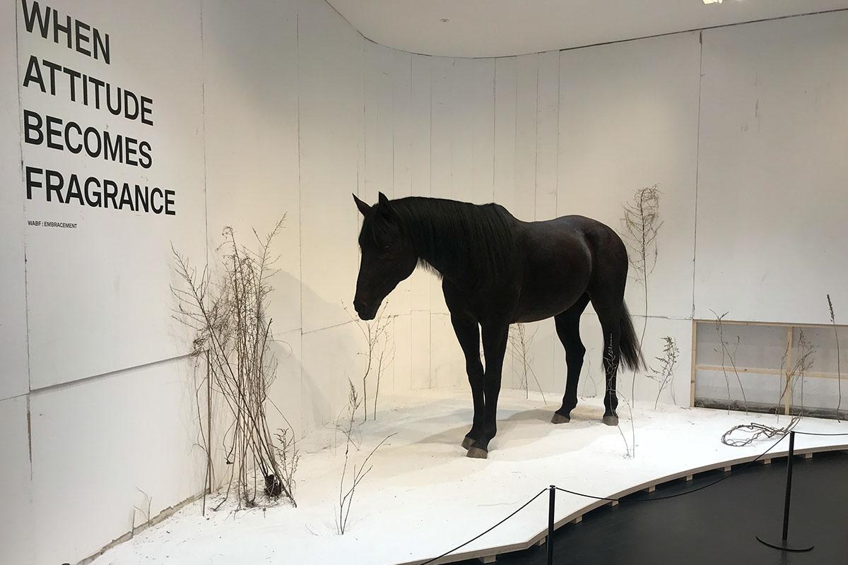 Sinsa-Apgujeong Shopping: tamburins horse