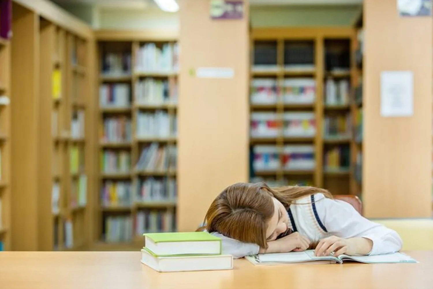 2025 韓國大學排名