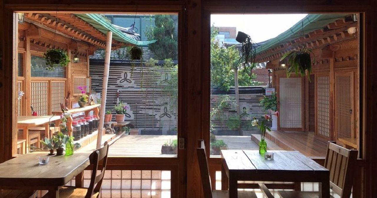 景福宮附近推薦的傳統韓屋咖啡廳，窗外採光明亮，設有木質結構和懸掛植物，增添自然氣息。