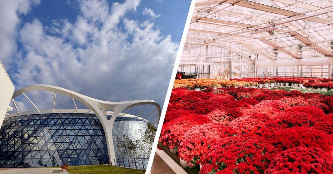 首爾植物園，左側為現代建築，右側展示多樣花卉