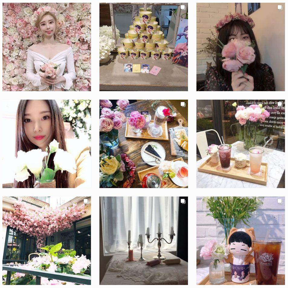 홍대 러빈허 카페에서 제공하는 여러 가지 꽃 테마의 디저트 메뉴들