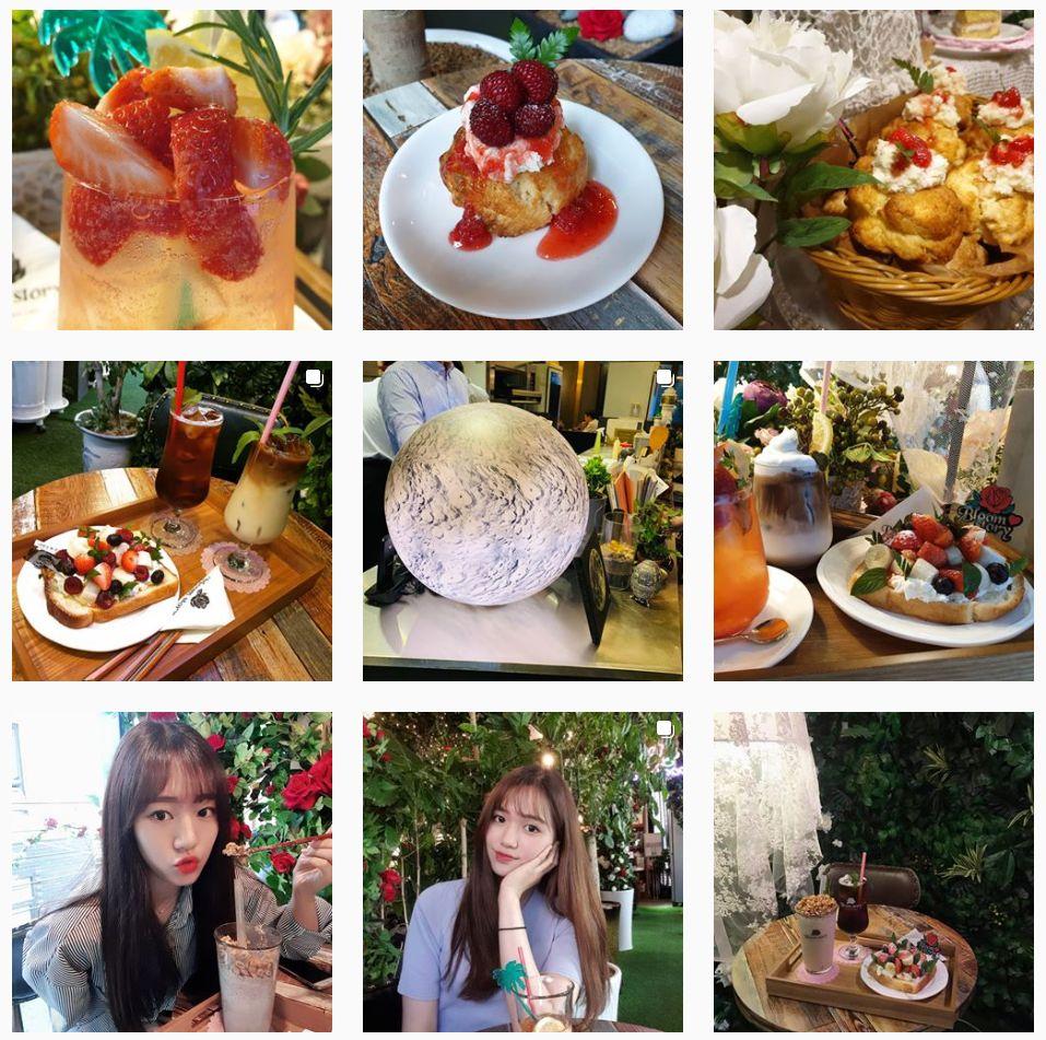 홍대 블룸스토리 카페의 화려한 장미 꽃벽과 환한 조명이 어우러진 내부