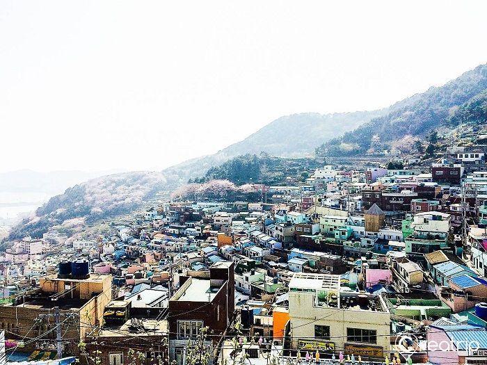 釜山甘川洞文化村