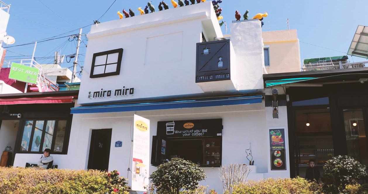 Chim mặt người (Gamcheondong Human Face Bird)