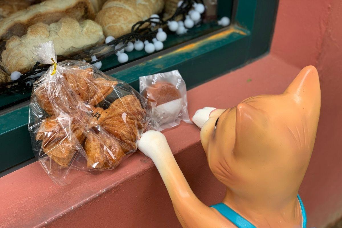 chú mèo nhìn chiếc bánh