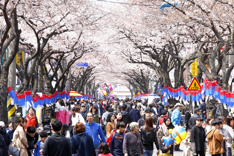 2025 韓國賞櫻 預測 首爾櫻花開花時刻 預測