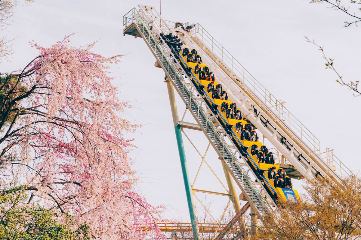 韓國櫻花 韓國櫻花團 櫻花團 櫻花一日遊 櫻花一日團 大邱E-WORLD E-WORLD櫻花 