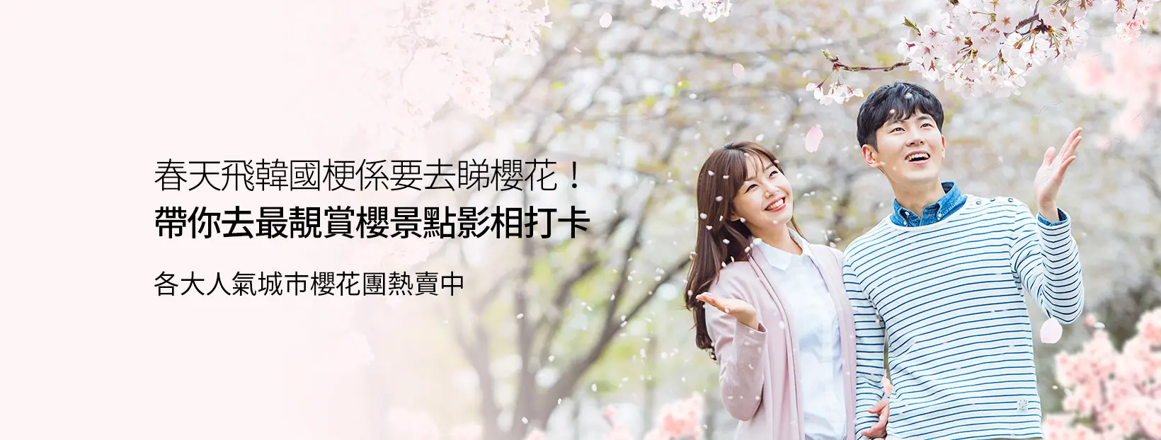 春天飛韓國梗係要去睇櫻花！帶你去最靚賞櫻景點影相打卡，背景是櫻花樹下的和諧場景，創造浪漫氛圍。