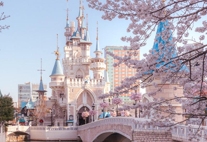 Castle inspired rides at Lotte World theme park in Seoul surrounded by cherry blossoms.