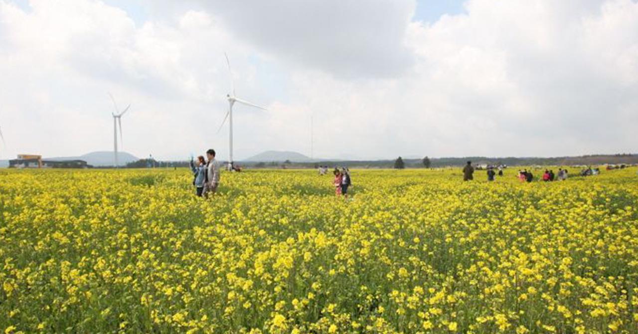 Célébrations d'avril en Corée du Sud