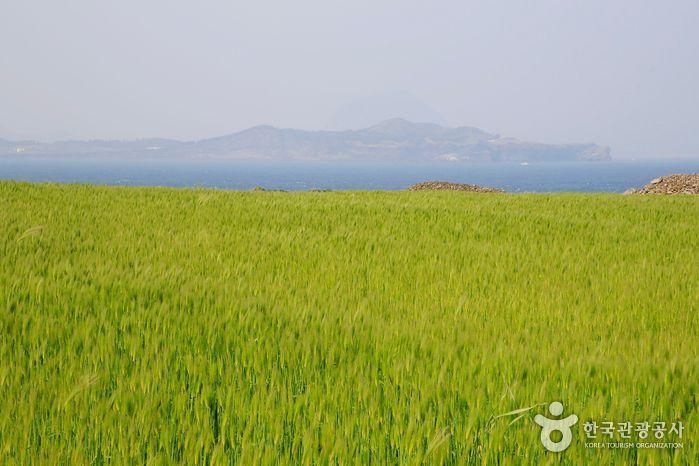 Summary of South Korea April Celebrations