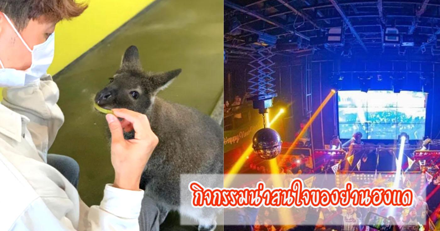 กิจกรรมที่น่าสนใจของฮงแด