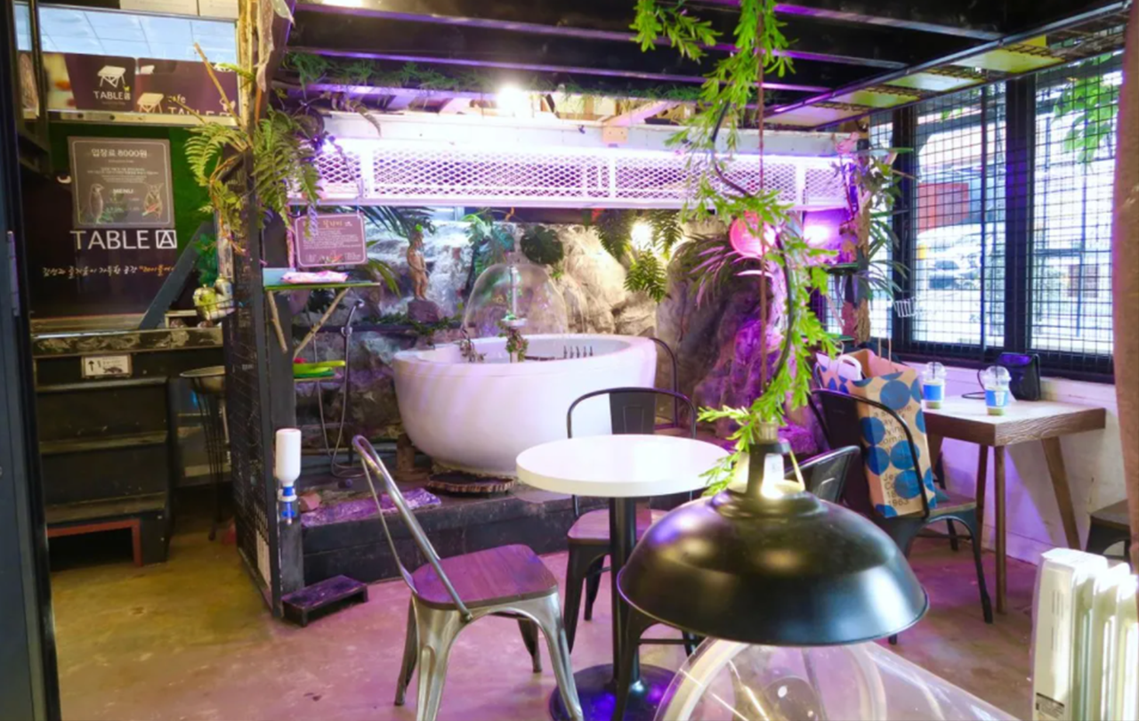 韓國旅行 首爾動物Cafe Table A