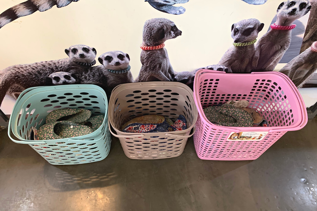 bên ngoài Eden Meerkat Friends: Cafe gấu mèo, meerkat, chuột túi dễ thương ở Myeongdong và Hongdae弘大動物咖啡廳 Eden Meerkat Friends