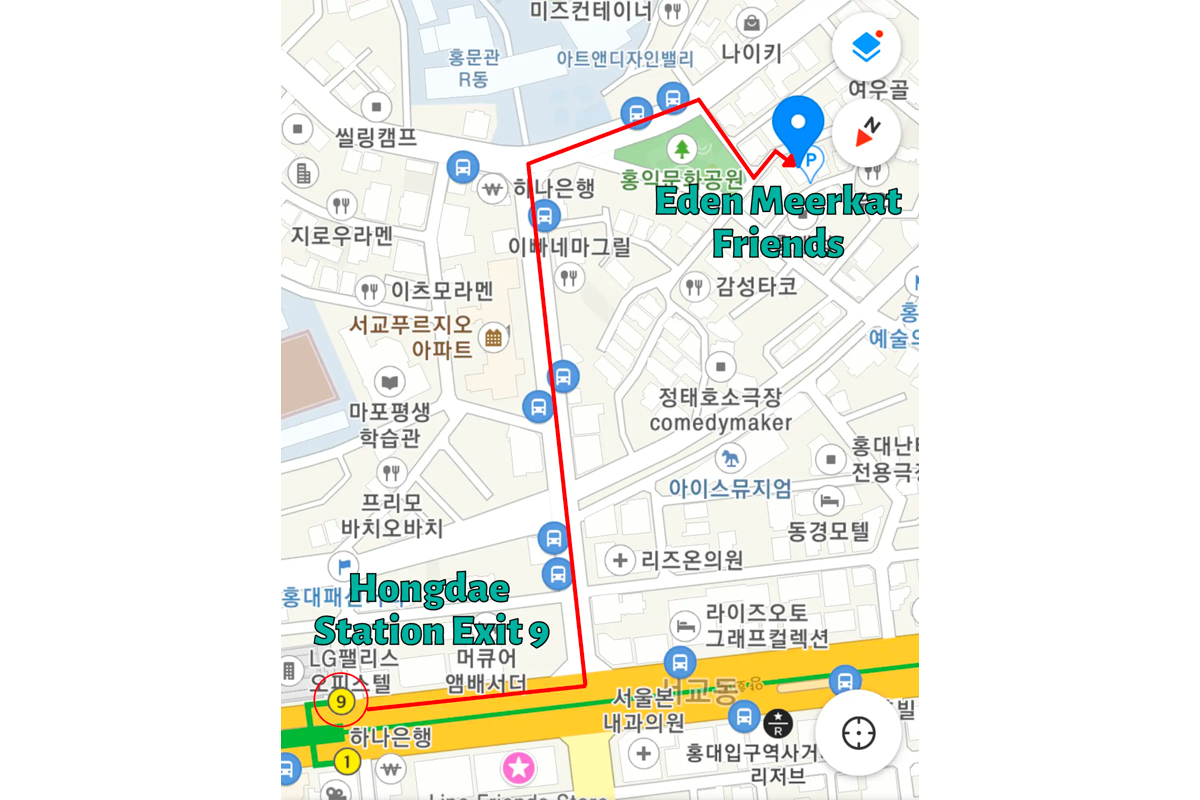 動物咖啡廳「Eden Meerkat Friends」前往方法