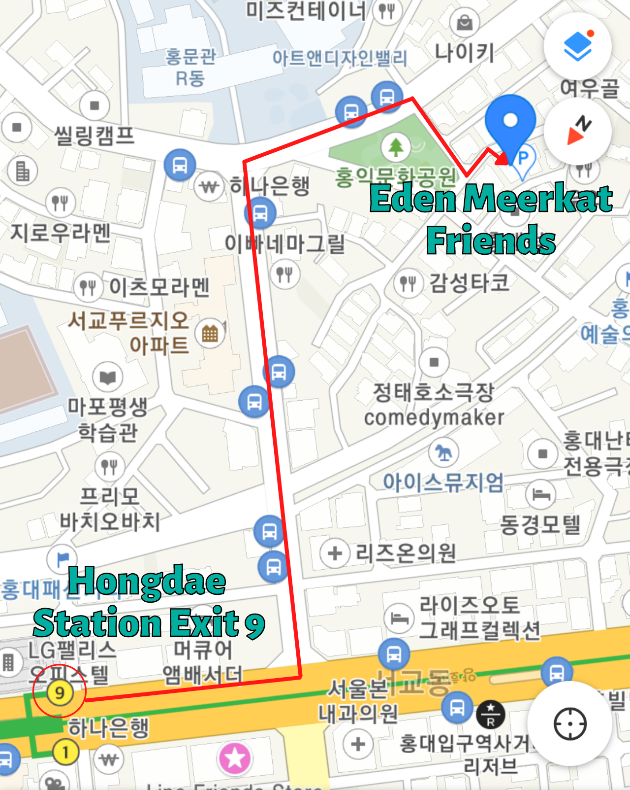 seoul korea hongdae animal cafe, eden meerkat friends directions
