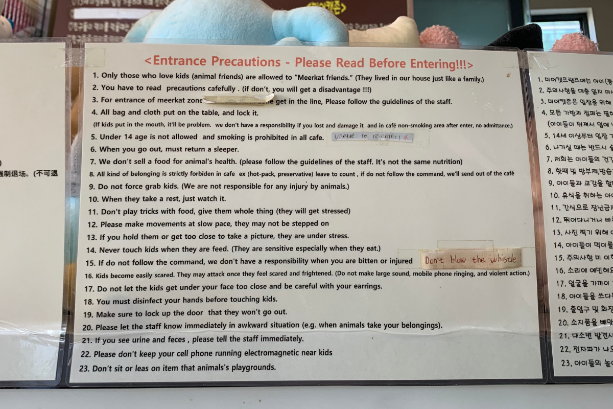 bên ngoài Eden Meerkat Friends: Cafe gấu mèo, meerkat, chuột túi dễ thương ở Myeongdong và Hongdae弘大動物咖啡廳 Eden Meerkat Friends