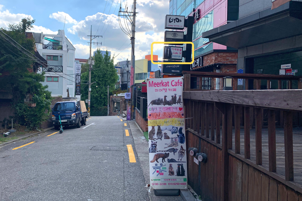 bên ngoài Eden Meerkat Friends: Cafe gấu mèo, meerkat, chuột túi dễ thương ở Myeongdong và Hongdae弘大動物咖啡廳 Eden Meerkat Friends