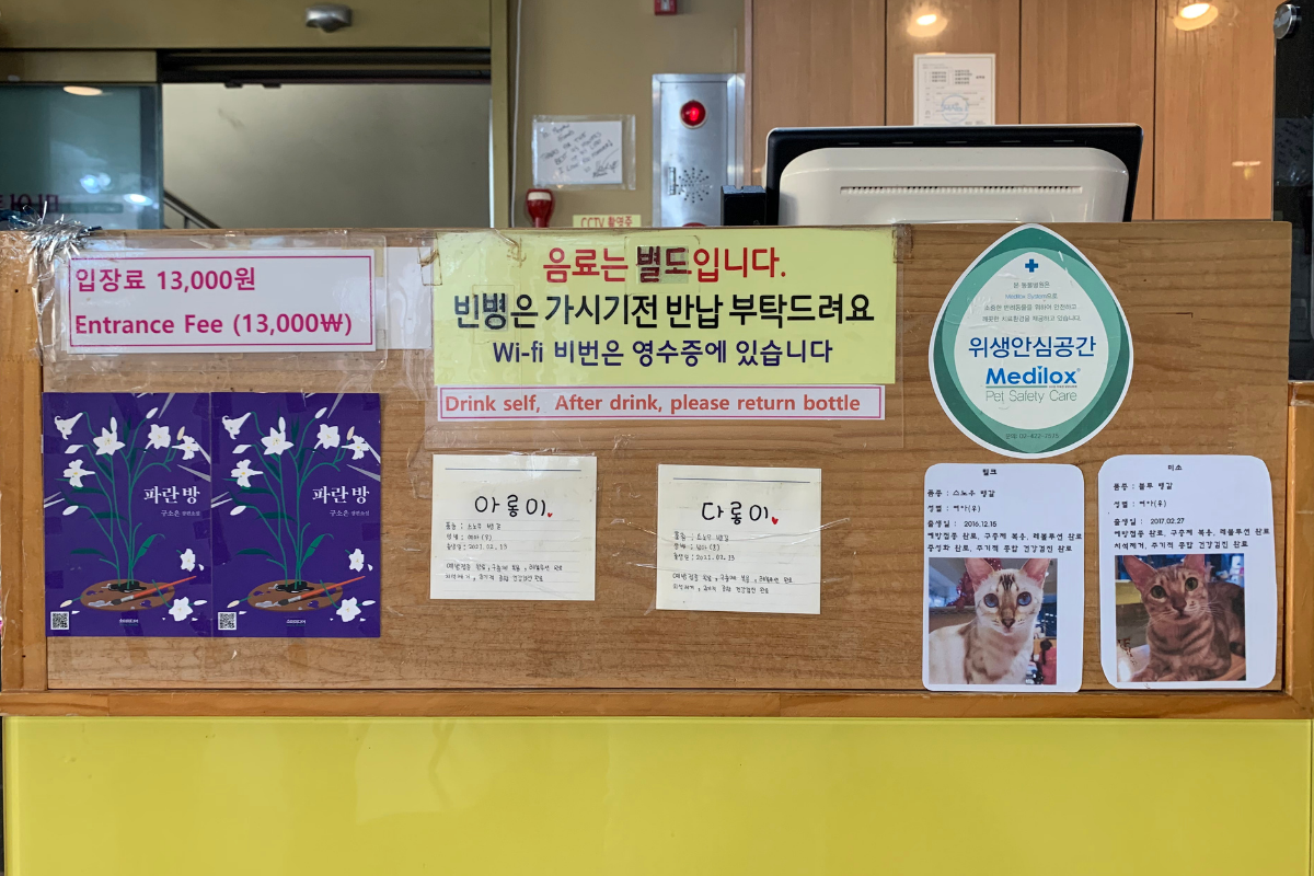 bên ngoài Eden Meerkat Friends: Cafe gấu mèo, meerkat, chuột túi dễ thương ở Myeongdong và Hongdae弘大動物咖啡廳 Eden Meerkat Friends