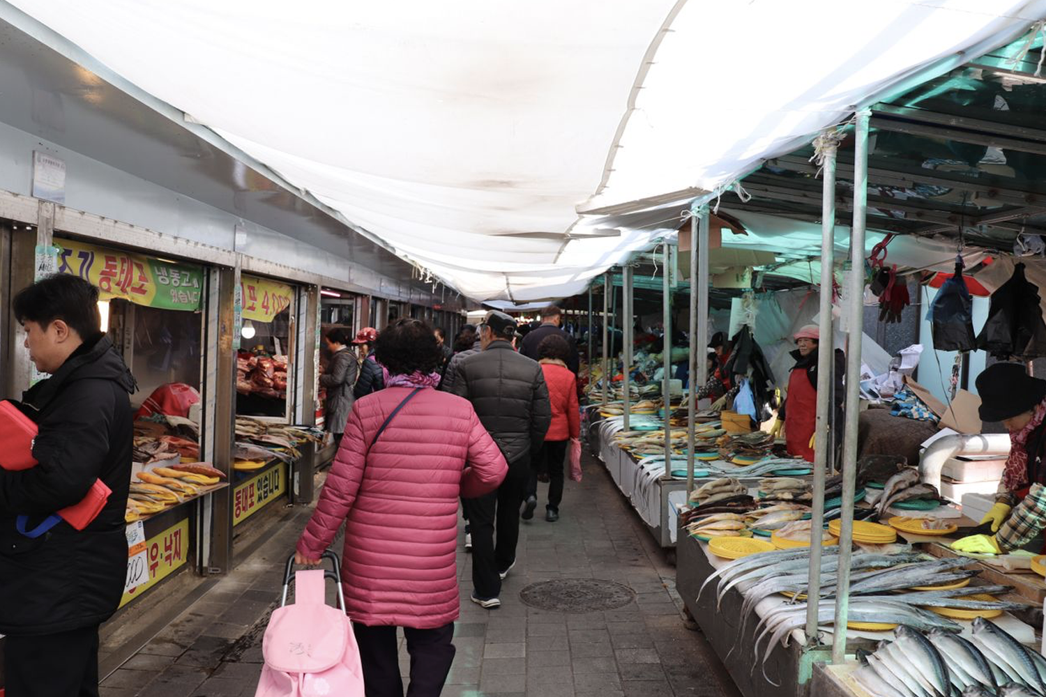 京東市場的街道，排滿攤位，販賣著新鮮的人蔘與紅蔘，充滿活力的市場氣氛。