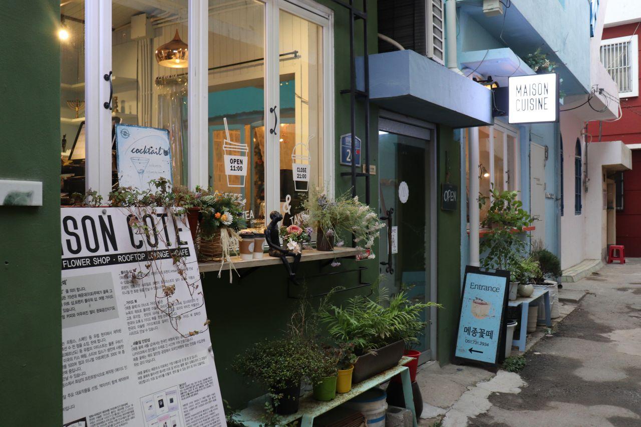 Die Eingangstür von Maison Cote, umgeben von Pflanzen und Schildern.